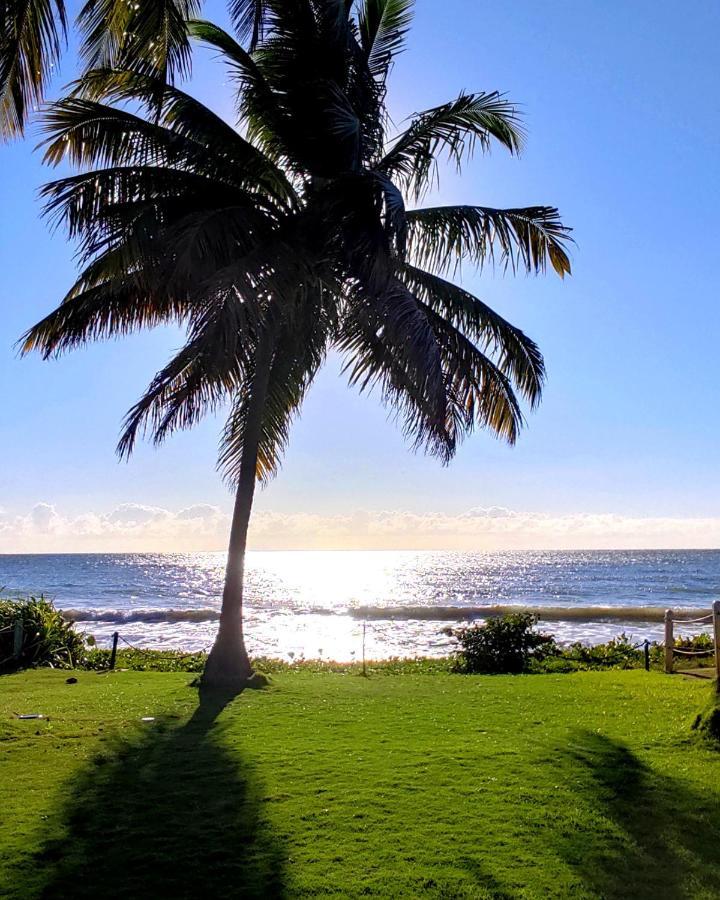 Flor de Lótus Suites Tamandaré Extérieur photo